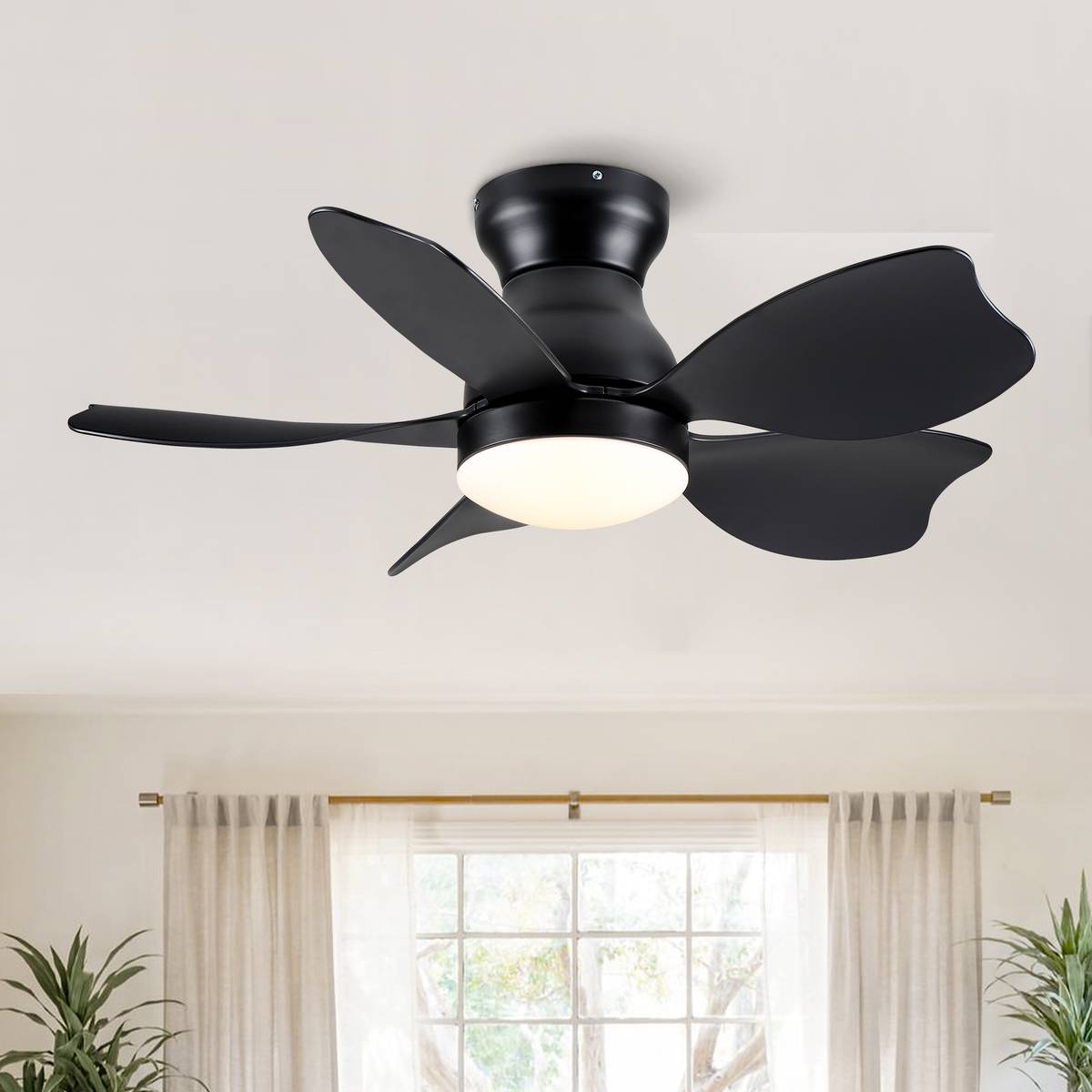 Product image unavailable