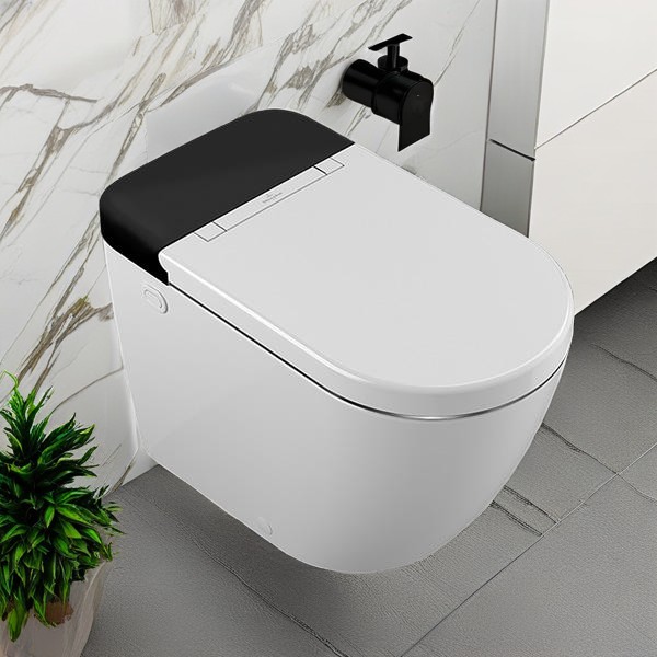 Smart Toilet