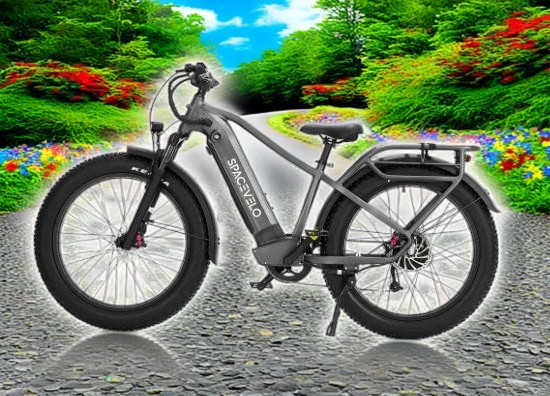 electric bike fat tire electric bike  1000W electric bike