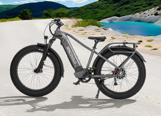 electric bike fat tire electric bike  1000W electric bike